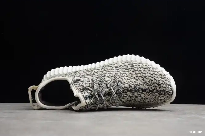 YEEZY 350 Turtle Dove Adidas Boost AQ4832 0506
